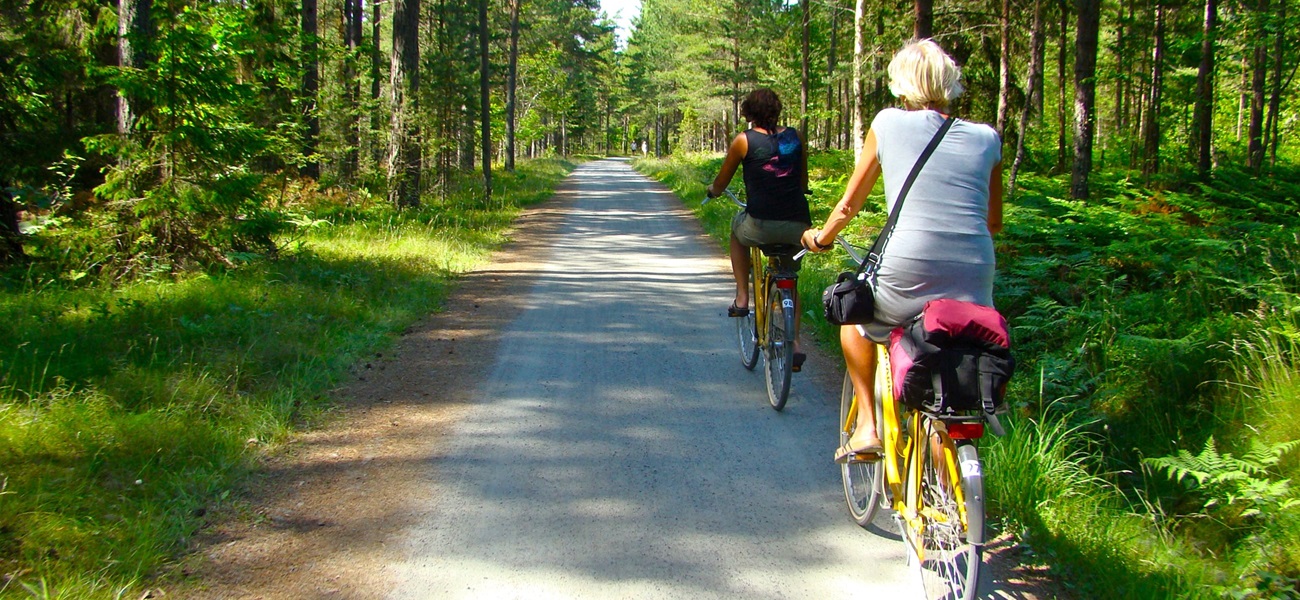 Explore the Swedish countryside by bike